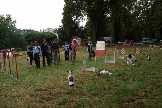 foire-haricots 2011-09-17et18